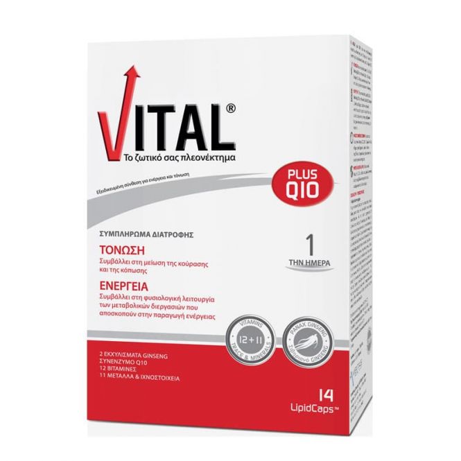 Vital Plus Q10 Πολυβιταμινούχο Συμπλήρωμα 14caps - Βιταμίνες στο Pharmeden.gr